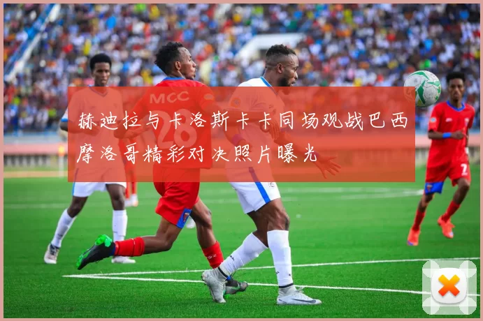 赫迪拉与卡洛斯卡卡同场观战巴西摩洛哥精彩对决照片曝光